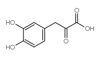 cas no 109170-71-0 is 3-(3,4-dihydroxyphenyl)-2-oxopropanoic acid