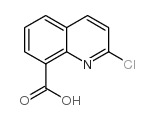 cas no 1092287-54-1 is 2-chloroquinoline-8-carboxylic acid