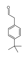 cas no 109347-45-7 is 2-(4-tert-butylphenyl)acetaldehyde