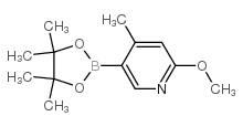 cas no 1093951-66-6 is 2-methoxy-4-methyl-5-(4,4,5,5-tetramethyl-1,3,2-dioxaborolan-2-yl)pyridine