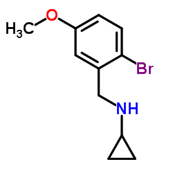 cas no 1094755-37-9 is N-(2-Bromo-5-methoxybenzyl)cyclopropanamine