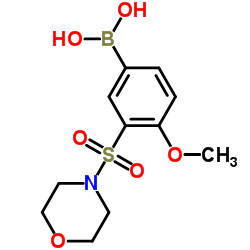 cas no 1100095-14-4 is (4-Methoxy-3-(Morpholinosulfonyl)phenyl)boronic acid