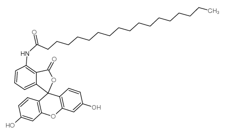 cas no 110698-53-8 is 5-(octadecanoylamino)fluorescein