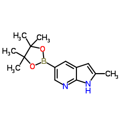 cas no 1111638-03-9 is 2-methyl-5-(tetramethyl-1,3,2-dioxaborolan-2-yl)-1h-pyrrolo[2,3-b]pyridine