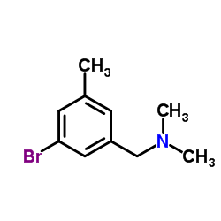 cas no 1112210-53-3 is Benzenemethanamine, 3-?bromo-?N,?N,?5-?trimethyl-