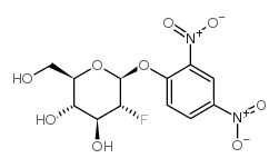 cas no 111495-86-4 is 2,4-DINITROPHENYL-2-FLUORO-2-DEOXY-BETA-D-GLUCOPYRANOSIDE