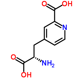 cas no 112055-80-8 is 3-(4-(2-Carboxy)-pyridyl)-L-alanine