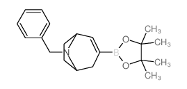 cas no 1123661-15-3 is 8-(Phenylmethyl)-3-(4,4,5,5-tetramethyl-1,3,2-dioxaborolan-2-yl)-8-azabicyclo[3.2.1]oct-2-ene