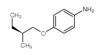 cas no 112418-54-9 is (S)-4-(2-methyl-butoxy)-phenylamine