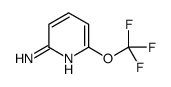 cas no 1131007-45-8 is 6-(trifluoromethoxy)pyridin-2-amine