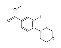 cas no 1131614-73-7 is methyl 3-iodo-4-morpholin-4-ylbenzoate