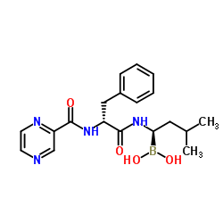 cas no 1132709-15-9 is ((R)-3-Methyl-1-((R)-3-phenyl-2-(pyrazine-2-carboxamido)propanamido)butyl)boronic acid