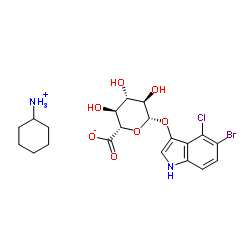 cas no 114162-64-0 is X-glucuronide CHA salt