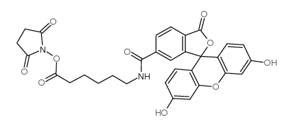 cas no 114616-31-8 is 6-[Fluorescein-5(6)-carboxamido]hexanoic acid N-hydroxysuccinimide ester