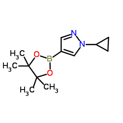 cas no 1151802-22-0 is 1-Cyclopropyl-4-(4,4,5,5-tetramethyl-1,3,2-dioxaborolan-2-yl)-1H-pyrazole