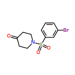 cas no 1152584-50-3 is 1-[(3-Bromophenyl)sulfonyl]-4-piperidinone