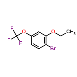cas no 1162261-92-8 is 1-Bromo-2-ethoxy-4-(trifluoromethoxy)benzene