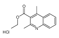 cas no 116270-38-3 is ETHYL  2,4-DIMETHYLQUINOLINE-3-CARBOXYLATE