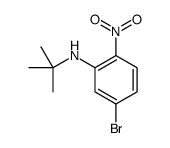 cas no 1163707-73-0 is 5-BROMO-N-(TERT-BUTYL)-2-NITROANILINE