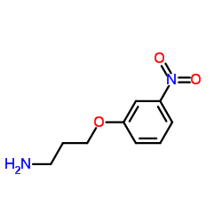 cas no 116753-51-6 is 3-(3-Nitrophenoxy)-1-propanamine