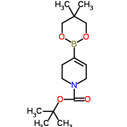 cas no 1167991-21-0 is tert-butyl 4-(5,5-dimethyl-1,3,2-dioxaborinan-2-yl)cyclohex-3-ene-1-carboxylate