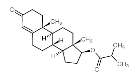 cas no 1169-49-9 is Testosterone 17-Isobutyrate