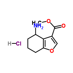 cas no 1172813-04-5 is Methyl 4-amino-4,5,6,7-tetrahydrobenzofuran-3-carboxylate hydrochloride