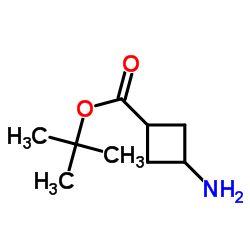 cas no 1173205-83-8 is tert-Butyl 3-aminocyclobutanecarboxylate
