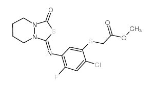 cas no 117337-19-6 is fluthiacet-methyl