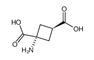 cas no 117488-23-0 is TRANS-1-AMINOCYCLOBUTANE-1,3-DICARBOXYLIC ACID