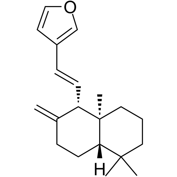 cas no 117591-81-8 is coronarin E