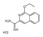 cas no 1179361-00-2 is 1-ethoxyisoquinoline-3-carboximidamide,hydrochloride