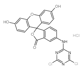 cas no 118357-32-7 is 6-((4,6-DICHLORO-1,3,5-TRIAZIN-2-YL)AMINO)-3',6'-DIHYDROXY-3H-SPIRO[ISOBENZOFURAN-1,9'-XANTHEN]-3-ONE HYDROCHLORIDE