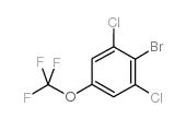 cas no 118754-55-5 is 2-bromo-1,3-dichloro-5-(trifluoromethoxy)benzene