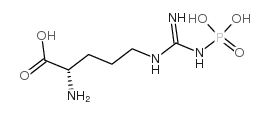 cas no 1189-11-3 is Nω-phospho-L-arginine