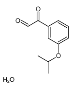cas no 1189863-58-8 is 2-(3-ISOPROPOXYPHENYL)-2-OXOACETALDEHYDE HYDRATE