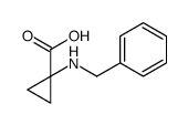 cas no 119111-62-5 is Cyclopropanecarboxylic acid, 1-[(phenylmethyl)amino]- (9CI)