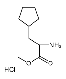 cas no 1191996-99-2 is (S)-METHYL 2-AMINO-3-CYCLOPENTYLPROPANOATE HYDROCHLORIDE