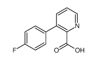 cas no 1192608-90-4 is 3-(4-FLUOROPHENYL)PICOLINIC ACID