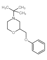 cas no 119491-60-0 is 4-TERT-BUTYL-2-(PHENOXYMETHYL)-MORPHOLINE