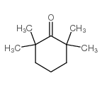 cas no 1195-93-3 is 2,2,6,6-TETRAMETHYLCYCLOHEXANONE