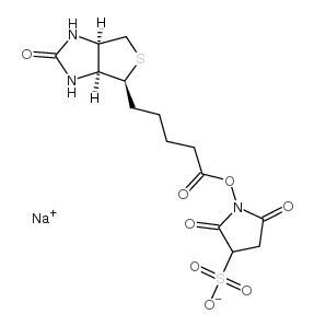 cas no 119616-38-5 is biotin sulfo-osu