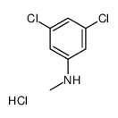 cas no 1197239-04-5 is (3,5-DICHLORO-PHENYL)-METHYL-AMINE HYDROCHLORIDE