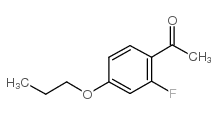 cas no 119774-74-2 is 2'-FLUORO-4'-PROPOXYACETOPHENONE