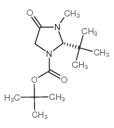 cas no 119838-38-9 is (S)-tert-Butyl 2-(tert-butyl)-3-methyl-4-oxoimidazolidine-1-carboxylate