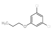 cas no 1202656-18-5 is 1,3-Dichloro-5-propoxybenzene