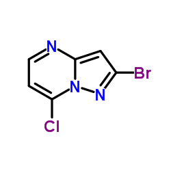 cas no 1203705-58-1 is 2-Bromo-7-chloropyrazolo[1,5-a]pyrimidine