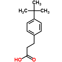cas no 1208-64-6 is 3-(4-tert-butylphenyl)propanoic acid