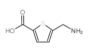 cas no 120889-75-0 is 5-(aminomethyl)thiophene-2-carboxylic acid