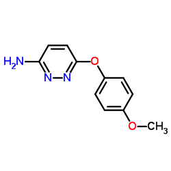 cas no 121041-41-6 is 6-(4-Methoxyphenoxy)pyridazin-3-amine